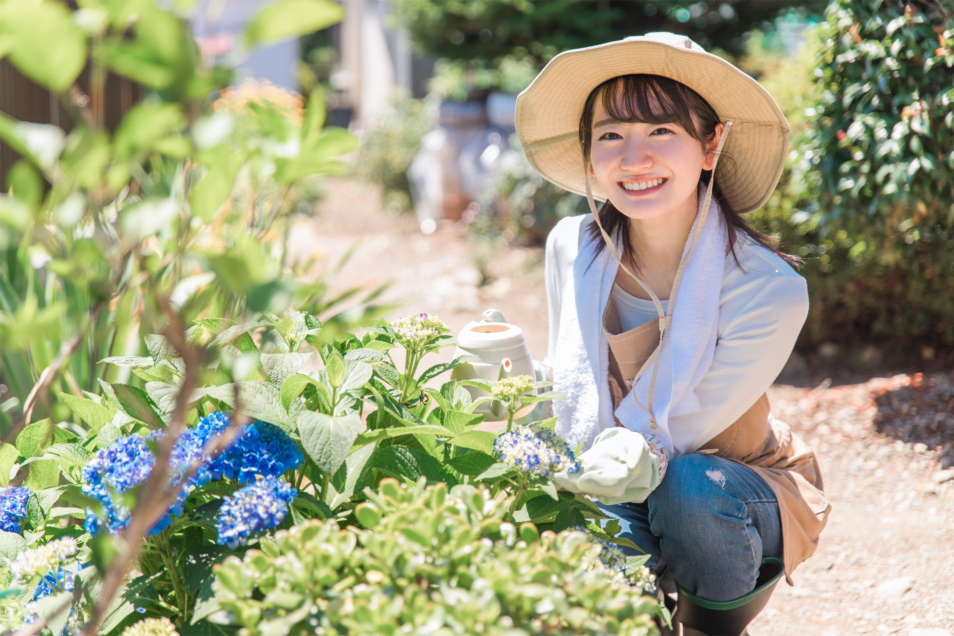 庭づくりやお部屋の彩りに、谷川緑販の植物をご利用ください