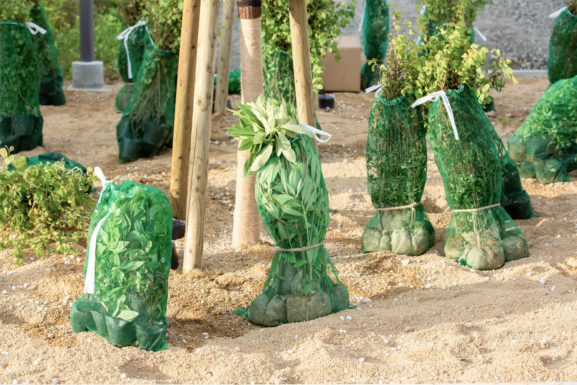 プロの現場を支える、谷川緑販の樹木・緑化資材